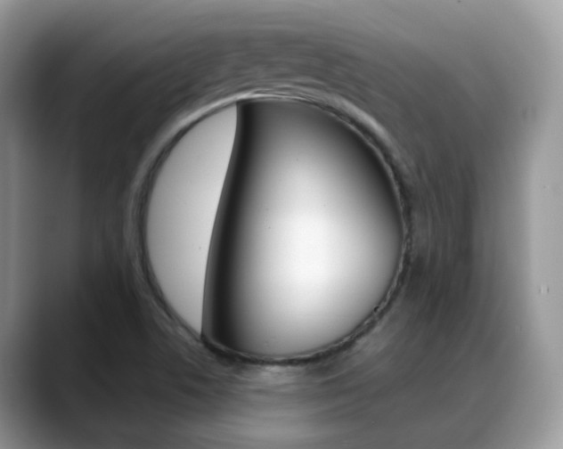 X0000088881506200706080730