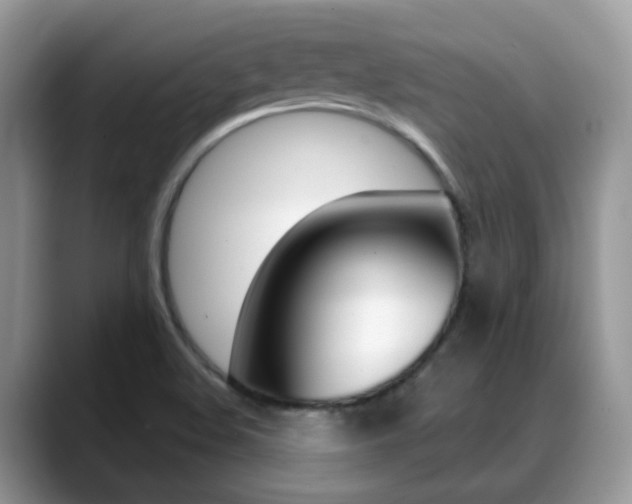 X0000088881508200706080730