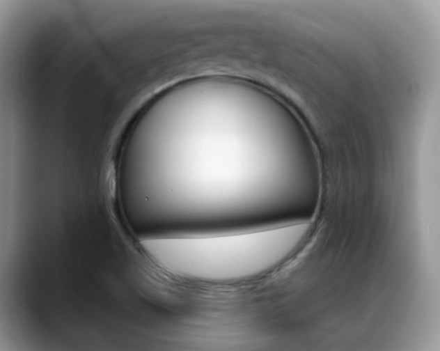 X0000088881509200706080730