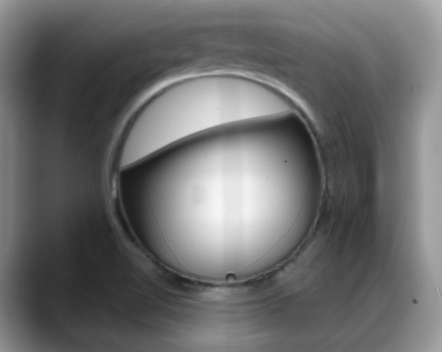 X0000088881510200706080730