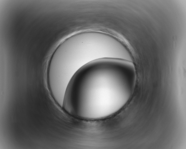 X0000088881512200706080730