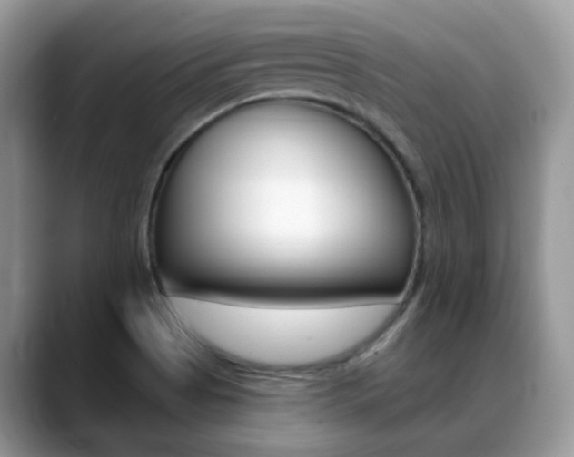 X0000088881513200706080730