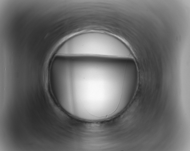 X0000088881515200706080731