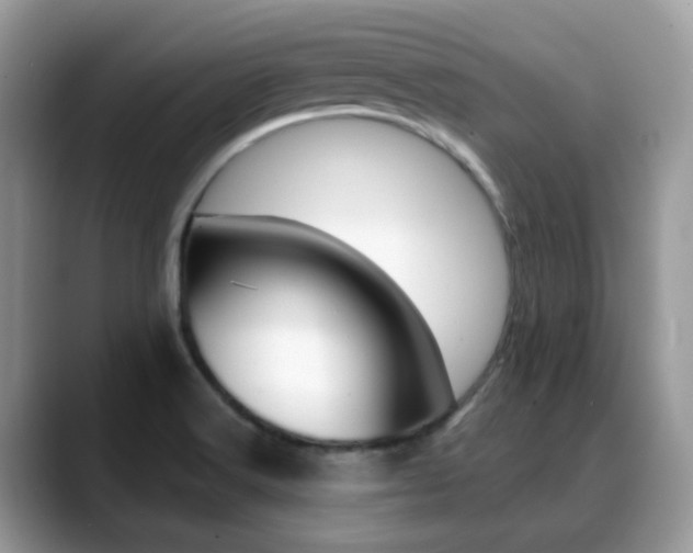 X0000088881516200706080731