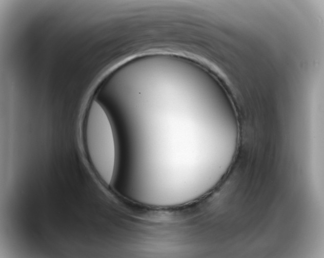X0000088881517200706080731