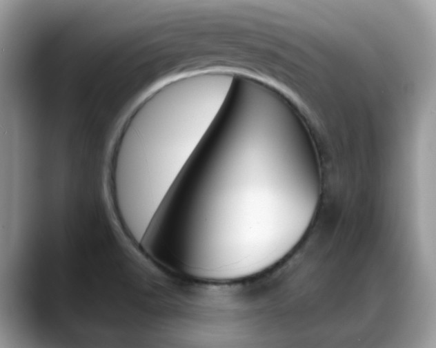 X0000088881518200706080731
