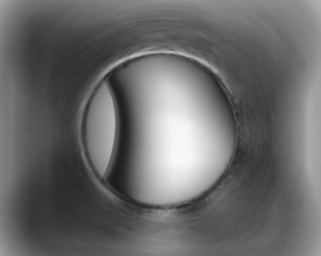 X0000088881519200706080731
