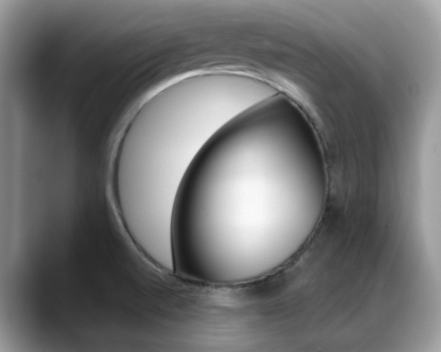 X0000088881520200706080731