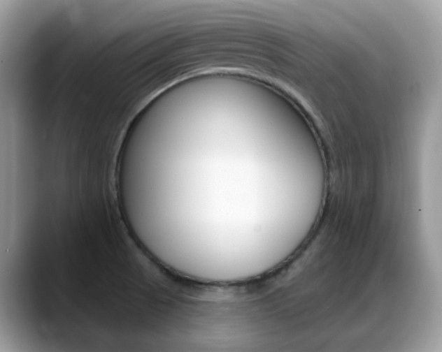 X0000088881521200706080731
