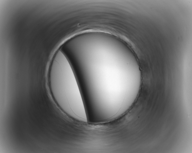 X0000088881522200706080731