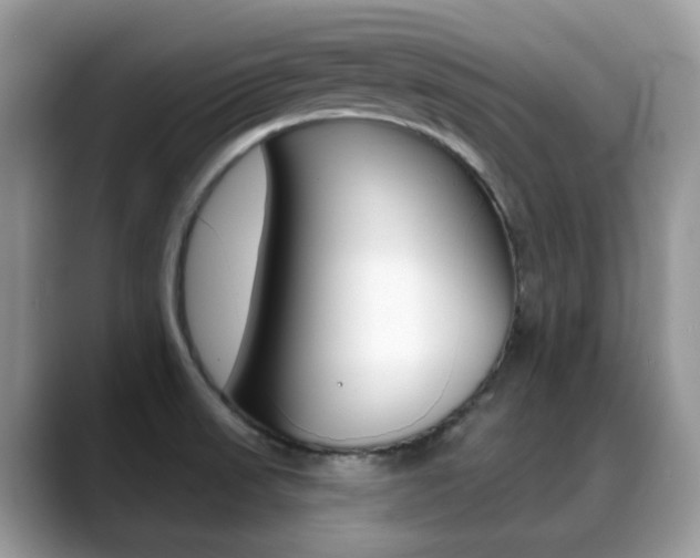 X0000088881523200706080731