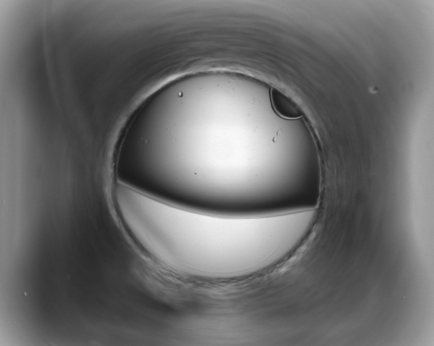 X0000088881525200706080731