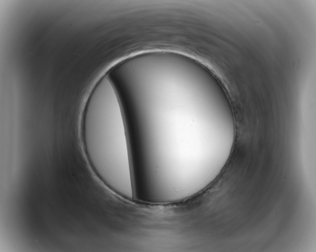 X0000088881527200706080731