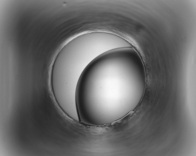 X0000088881528200706080731