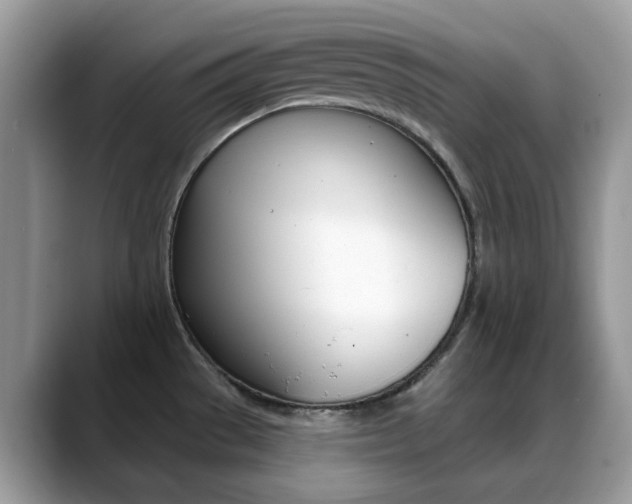 X0000088881529200706080731