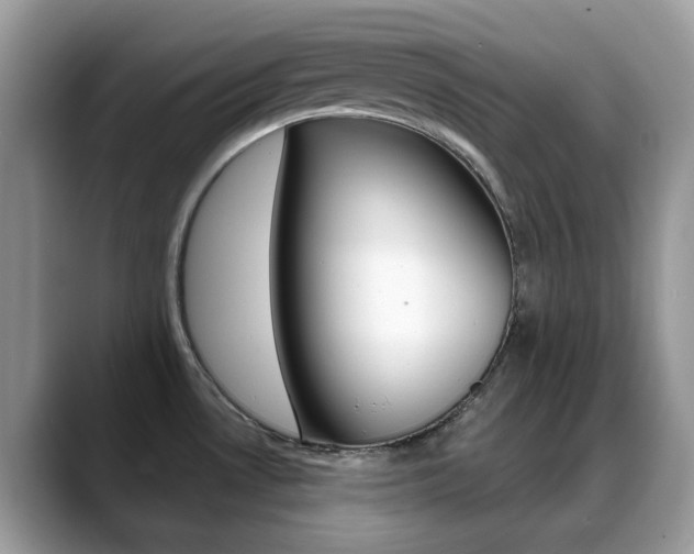 X0000088881530200706080731