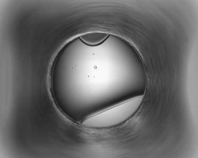 X0000088881531200706080731