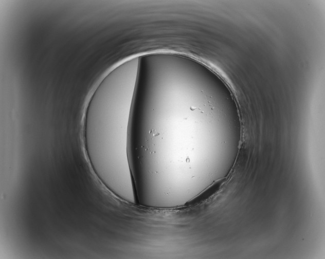 X0000088881532200706080731