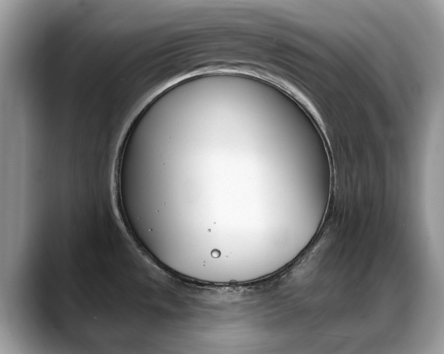 X0000088881533200706080731
