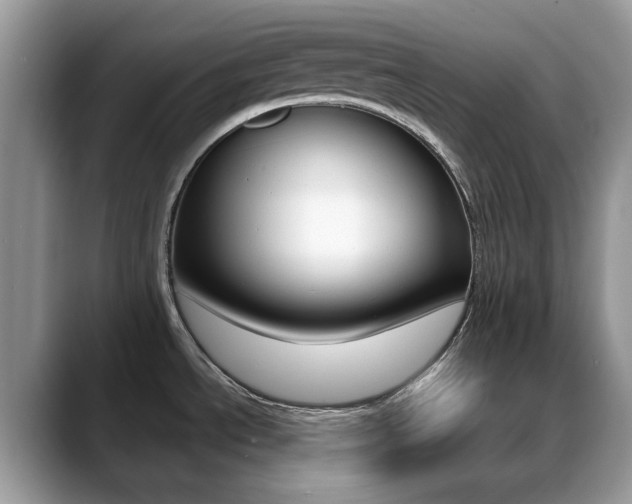 X0000088881534200706080731