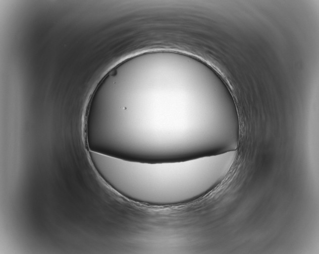 X0000088881535200706080731