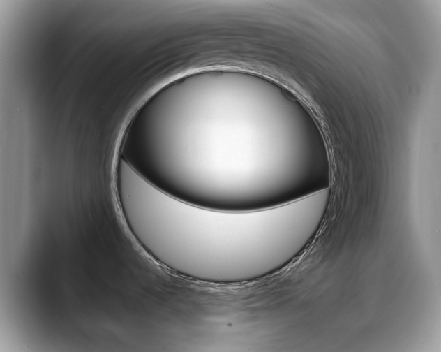 X0000088881536200706080731