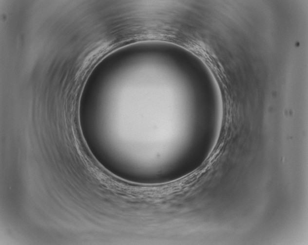 X0000088880001200706081252