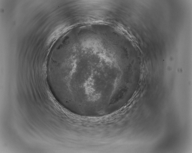 X0000088880002200706081252