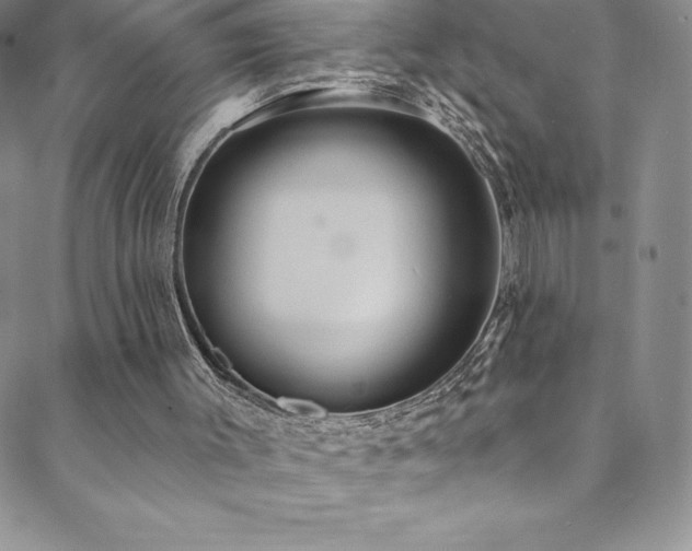 X0000088880003200706081252