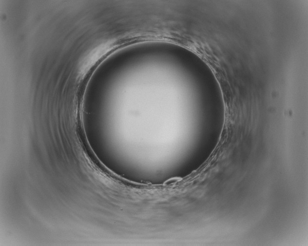 X0000088880005200706081252