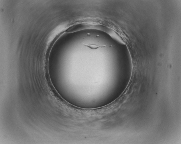 X0000088880006200706081252