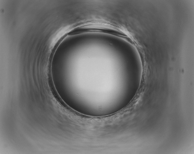 X0000088880007200706081252