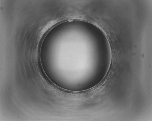 X0000088880008200706081252