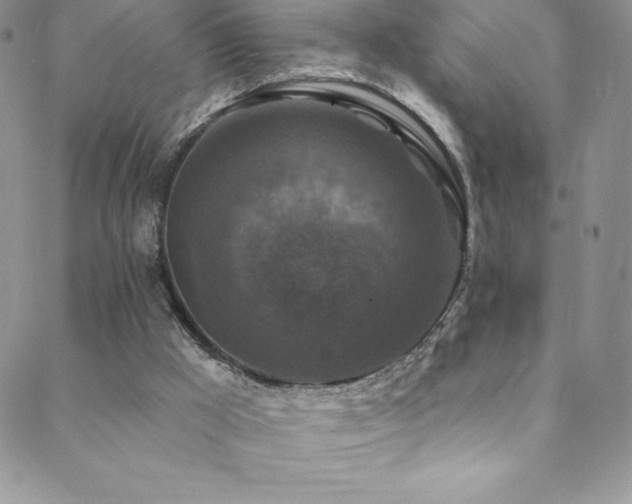 X0000088880009200706081252