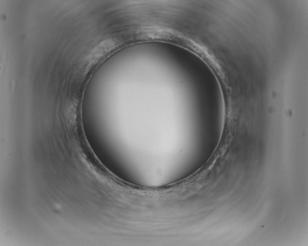 X0000088880010200706081252