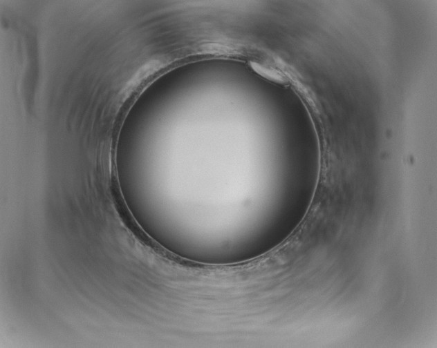 X0000088880011200706081252