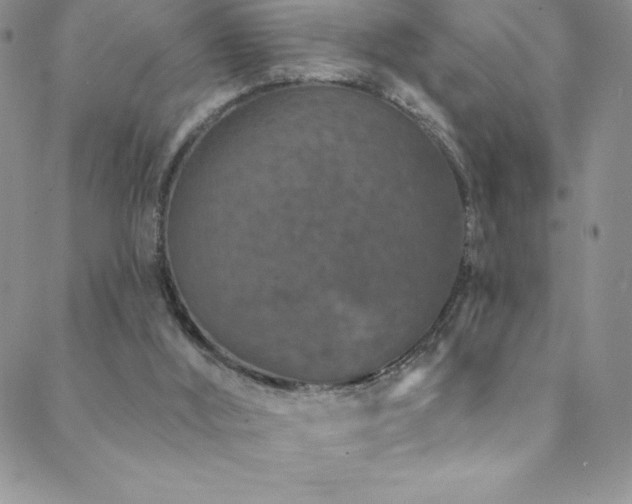 X0000088880012200706081252