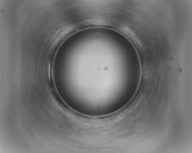 X0000088880014200706081252