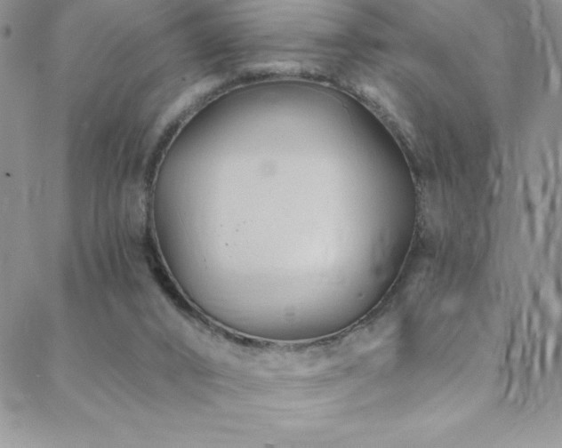 X0000088880016200706081252