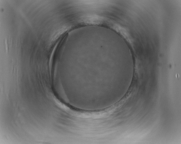 X0000088880017200706081252