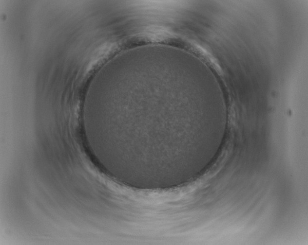 X0000088880018200706081252