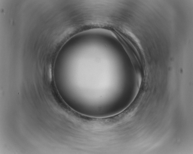 X0000088880020200706081252