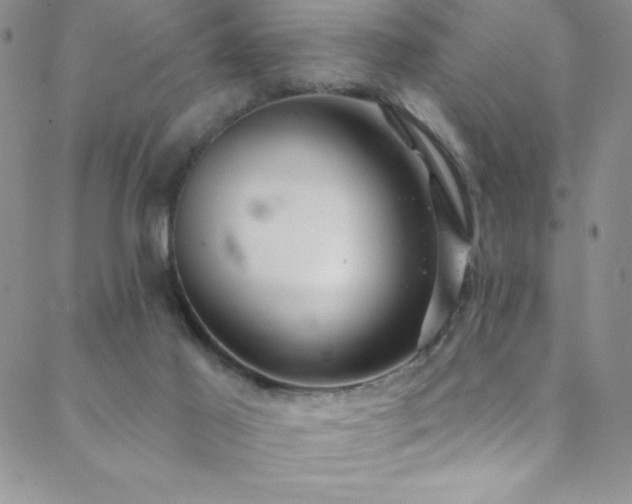 X0000088880021200706081252