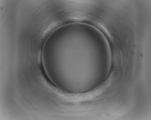 X0000088880023200706081252