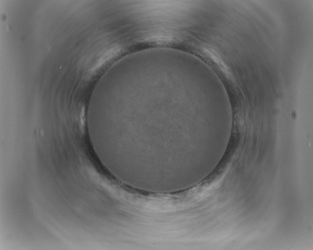 X0000088880024200706081252