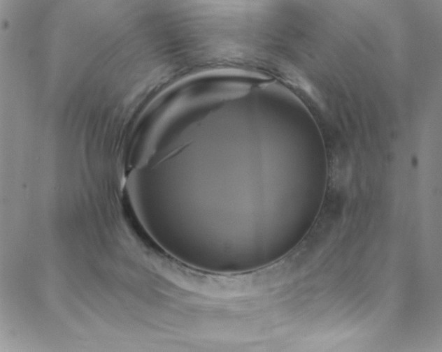 X0000088880027200706081252