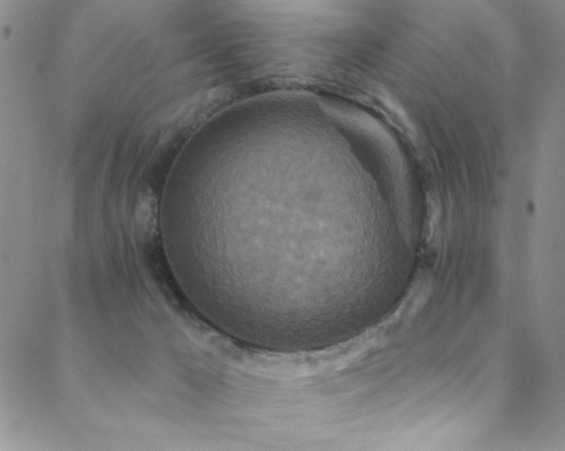 X0000088880029200706081252