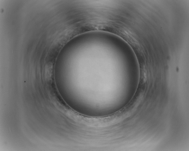 X0000088880030200706081252