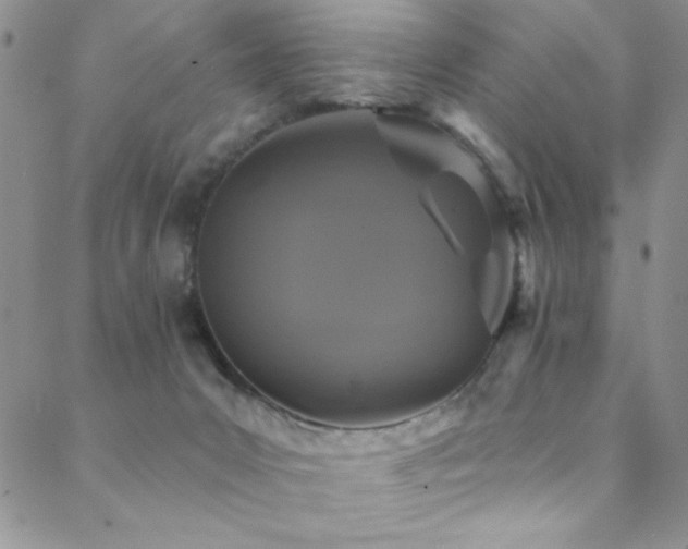 X0000088880031200706081252