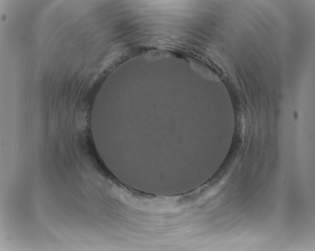 X0000088880032200706081252